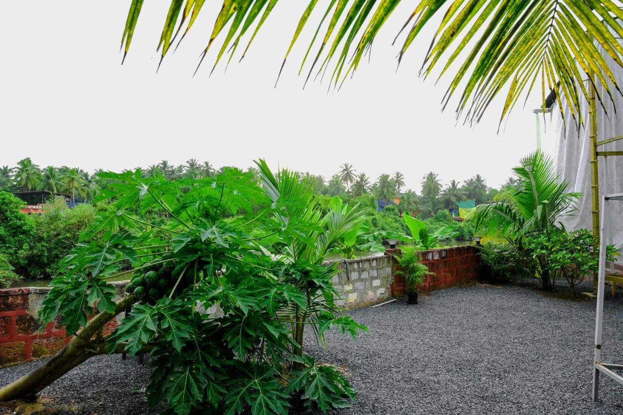 Vedana Retreat Arambol Hotell Exteriör bild